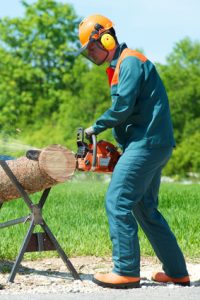 Professionnel avec équipement de protection individuelle