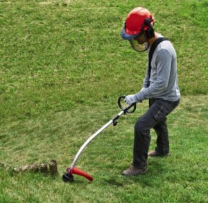 Location de coupe-bordures entre particuliers