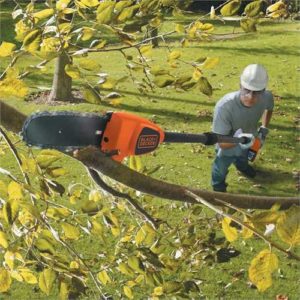 Entretien du jardin par le locataire