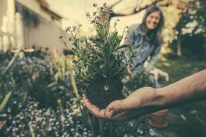 bienfaits du jardinage